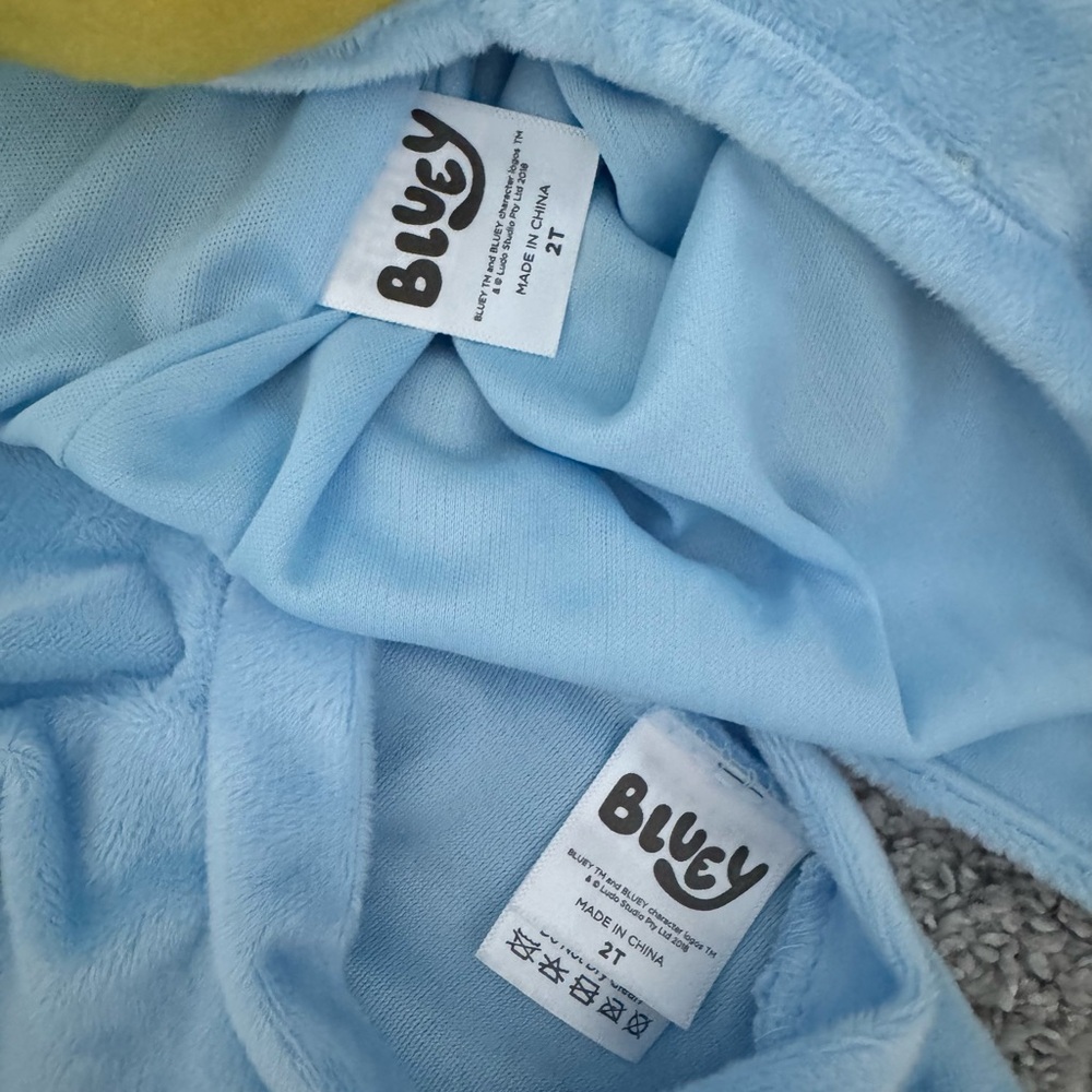 Bluey Costume - Picture 5 of 7